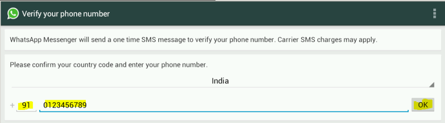 WhatsApp Installation